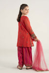 3 Piece Embroidered Khadi Net Suit