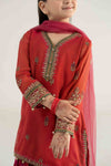 3 Piece Embroidered Khadi Net Suit
