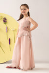 2 Piece Embroidered Chiffon Suit