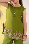 2 Piece Embroidered Organza Suit