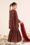 3 Piece Embroidered Raw Silk Suit