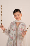 4 Piece Embroidered Net Suit