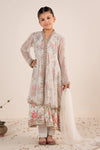 4 Piece Embroidered Net Suit