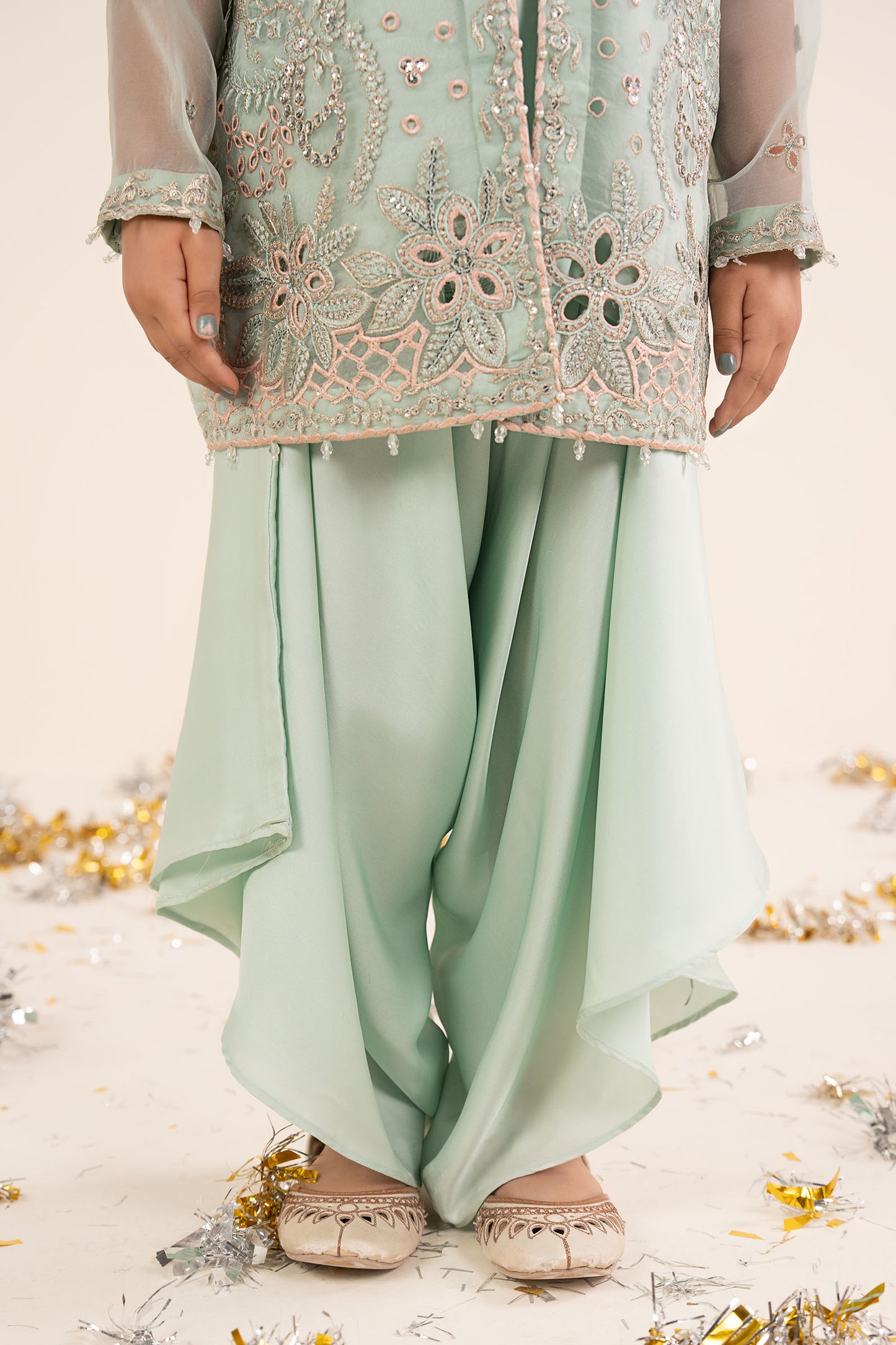 2 Piece Embroidered Organza Suit