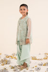 2 Piece Embroidered Organza Suit