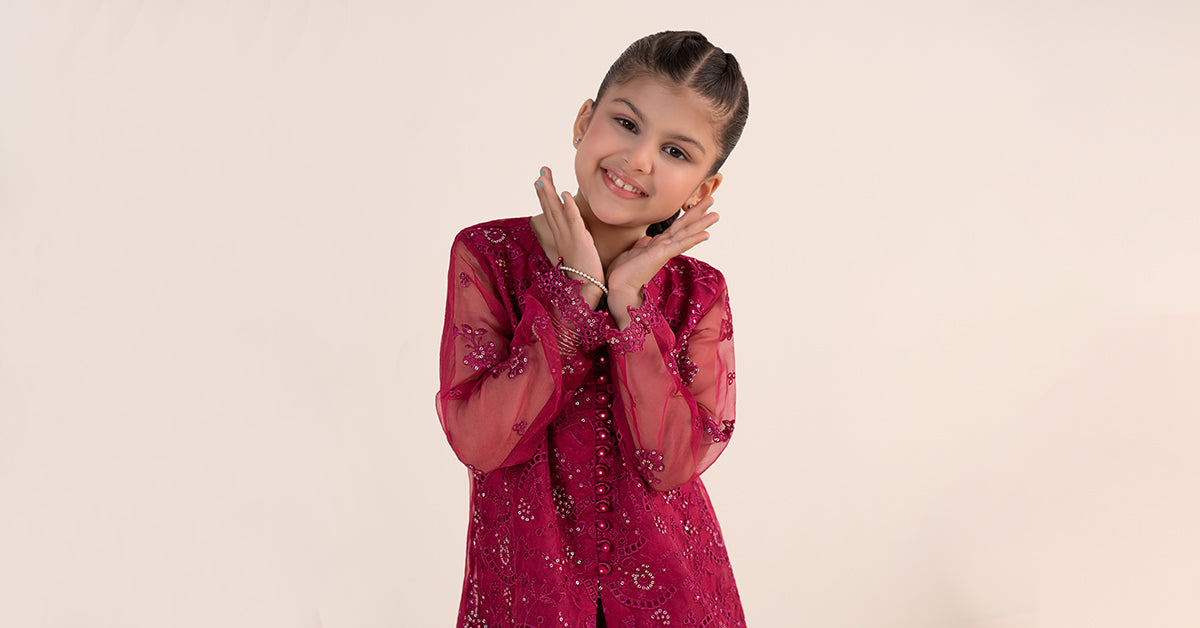 2 Piece Embroidered Organza Suit