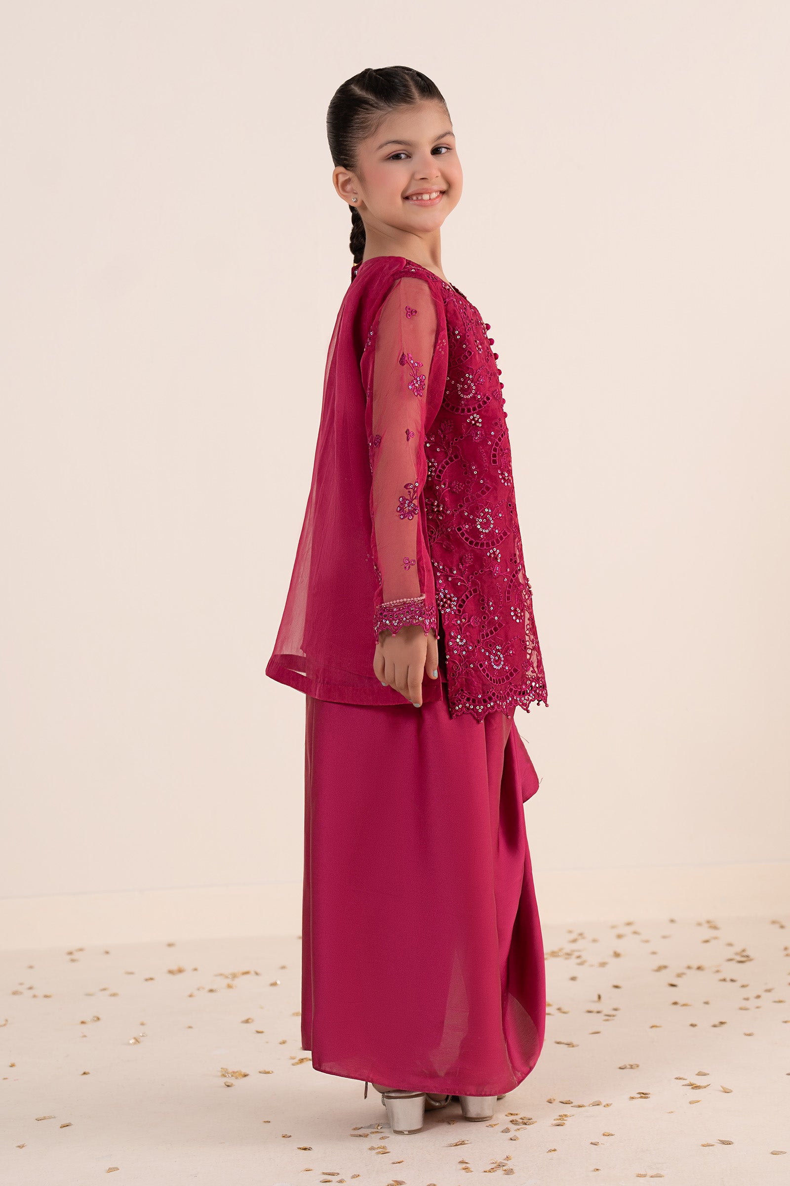 2 Piece Embroidered Organza Suit
