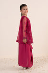 2 Piece Embroidered Organza Suit
