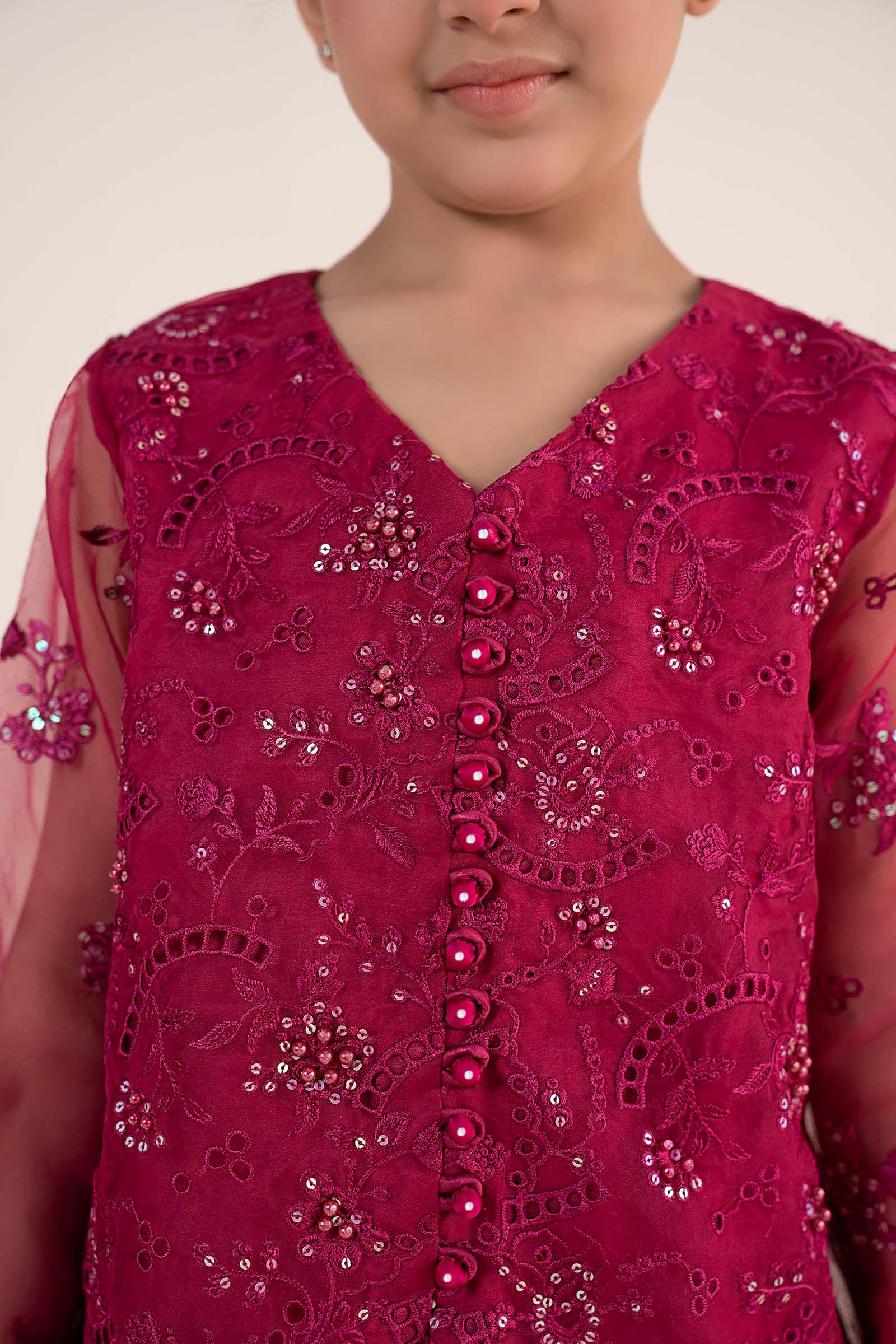 2 Piece Embroidered Organza Suit
