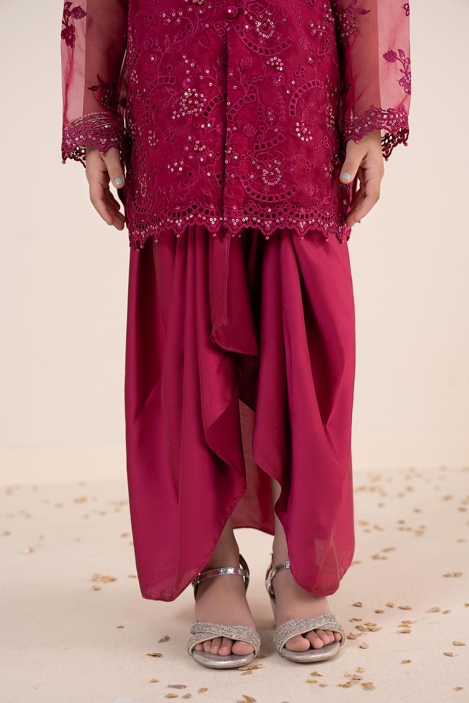 2 Piece Embroidered Organza Suit