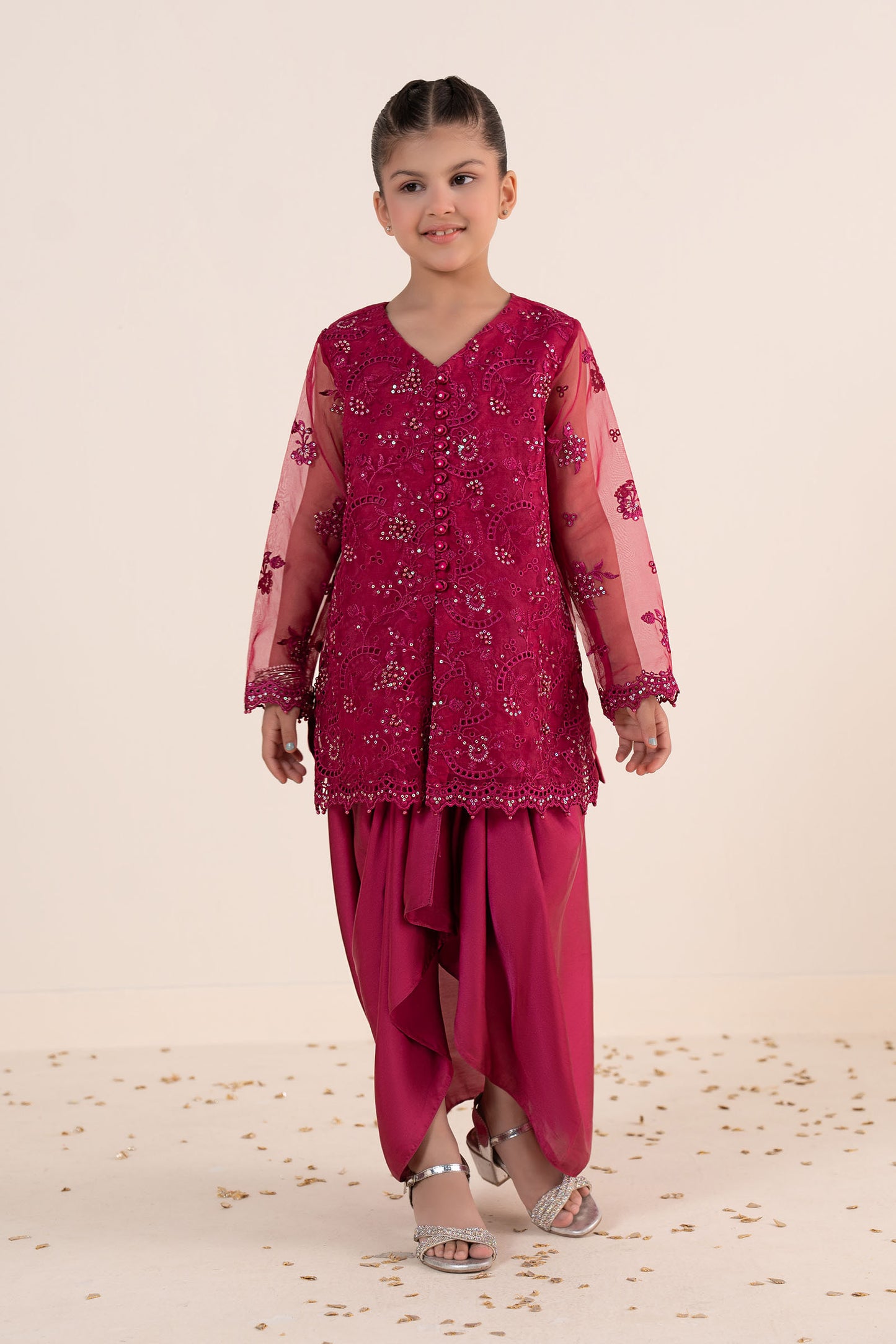 2 Piece Embroidered Organza Suit
