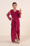 2 Piece Embroidered Organza Suit