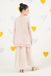2 Piece Embroidered Organza Suit