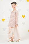 2 Piece Embroidered Organza Suit