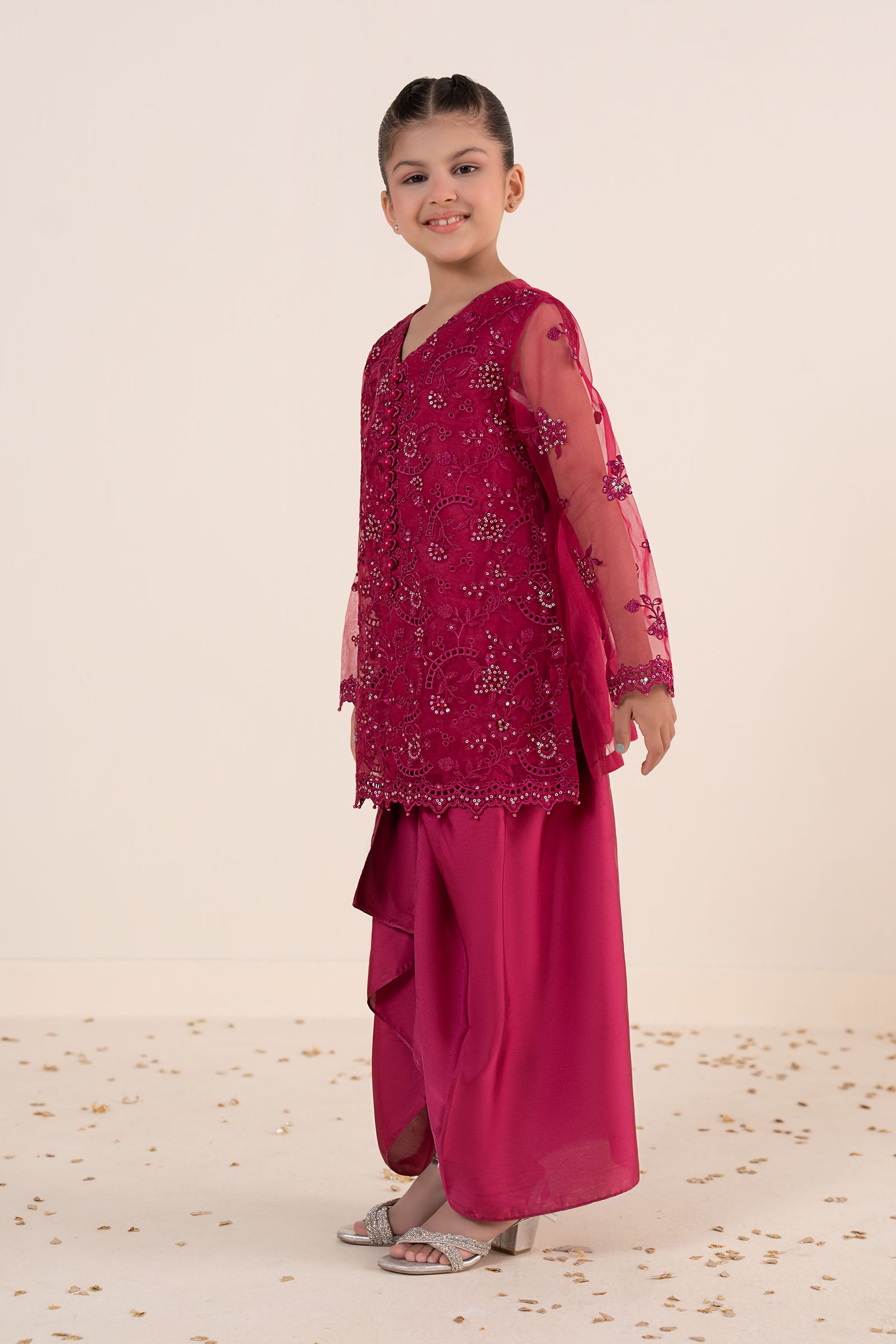 2 Piece Embroidered Organza Suit