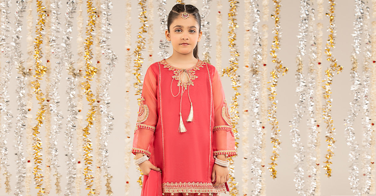 2 Piece Embroidered Organza Suit