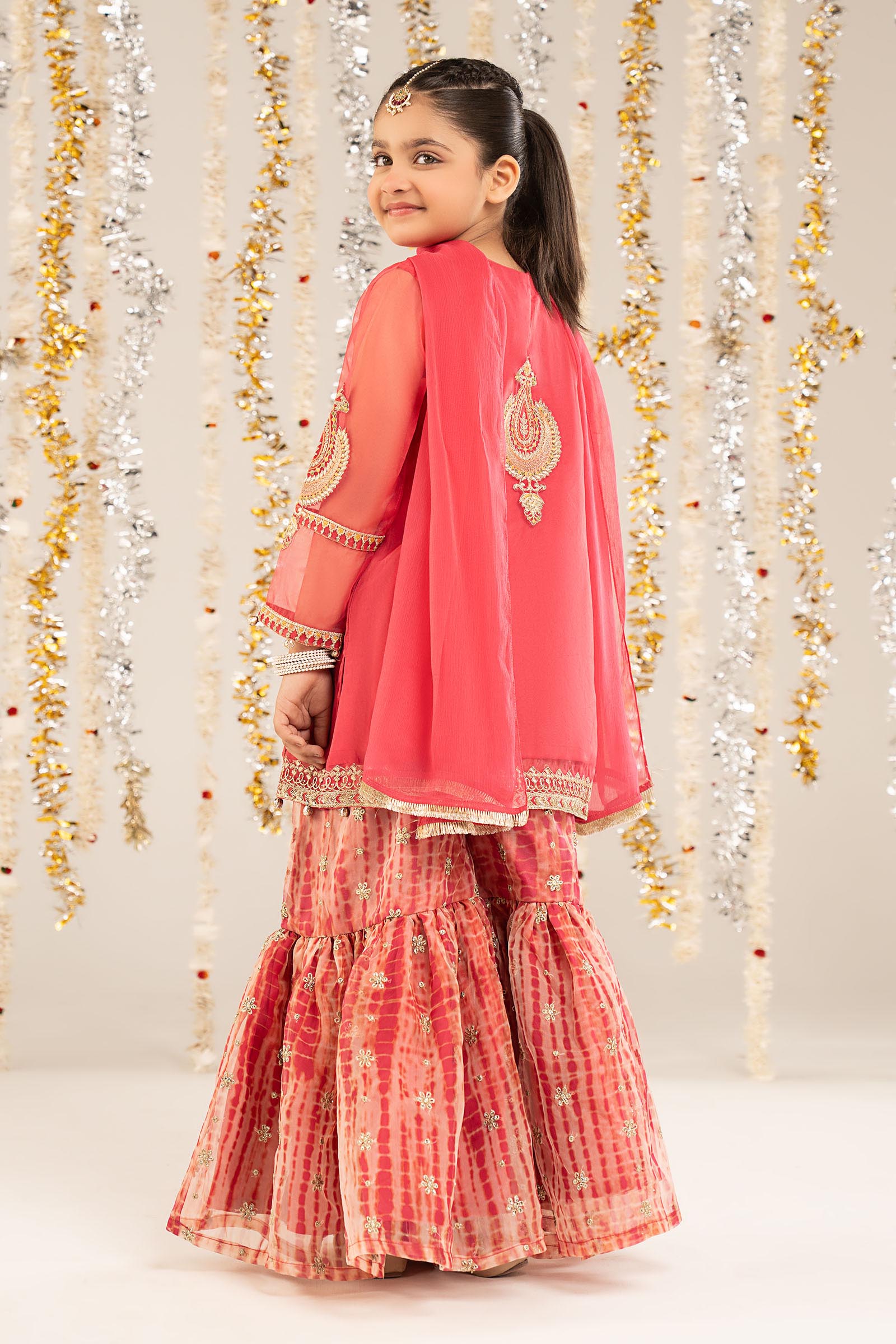2 Piece Embroidered Organza Suit