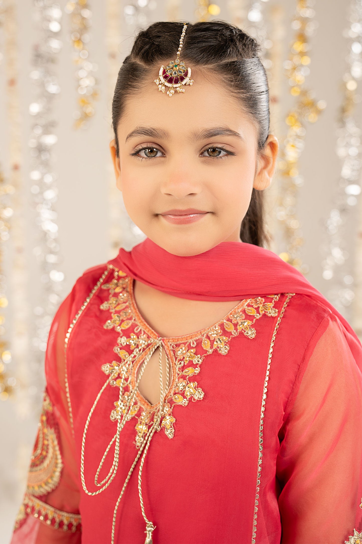 2 Piece Embroidered Organza Suit