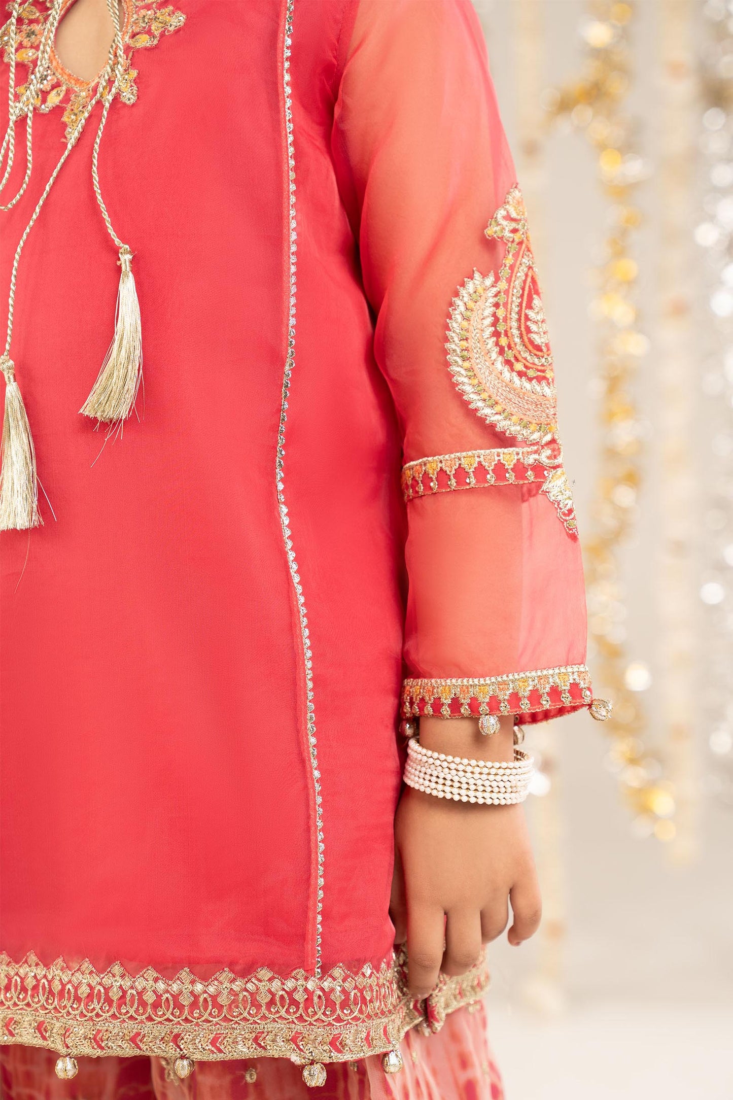 2 Piece Embroidered Organza Suit