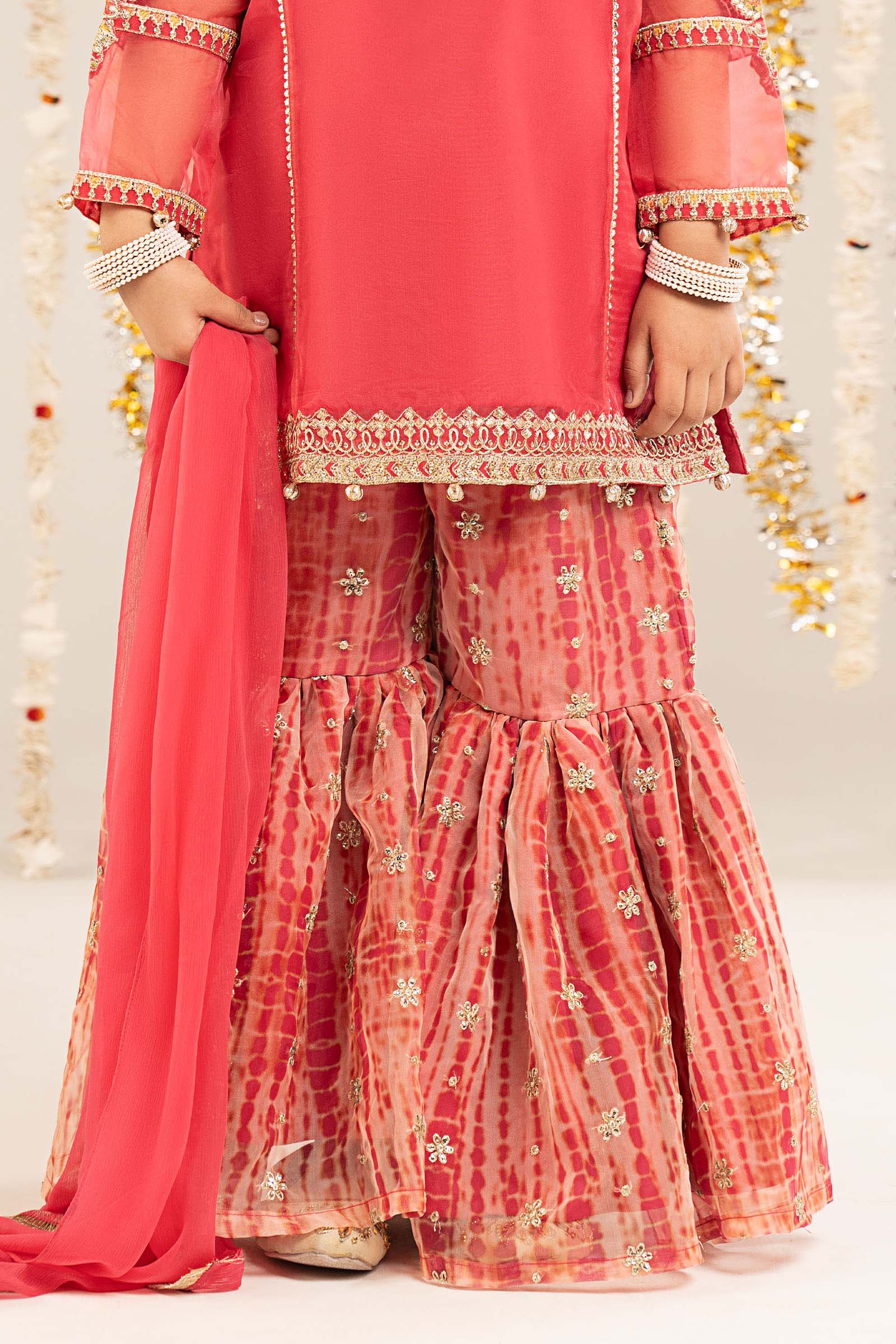 2 Piece Embroidered Organza Suit
