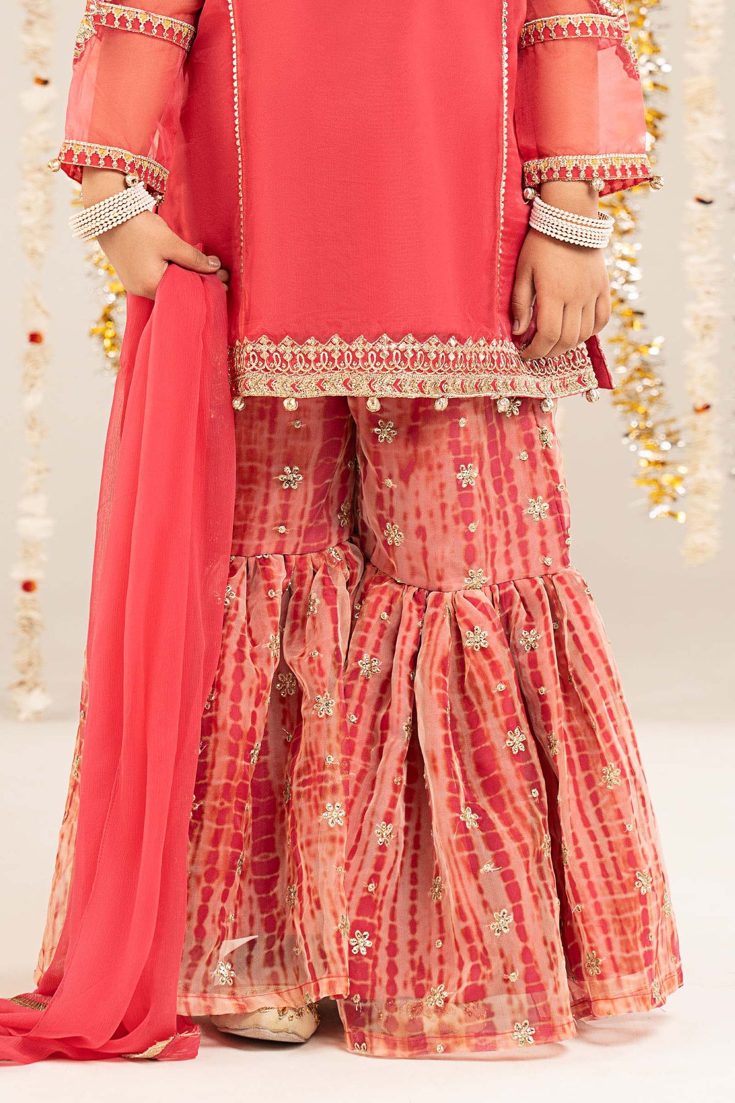 2 Piece Embroidered Organza Suit