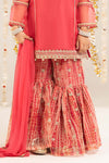 2 Piece Embroidered Organza Suit