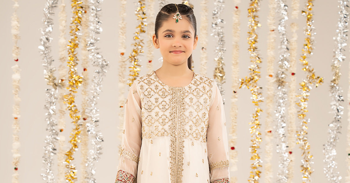 2 Piece Embroidered Organza Suit
