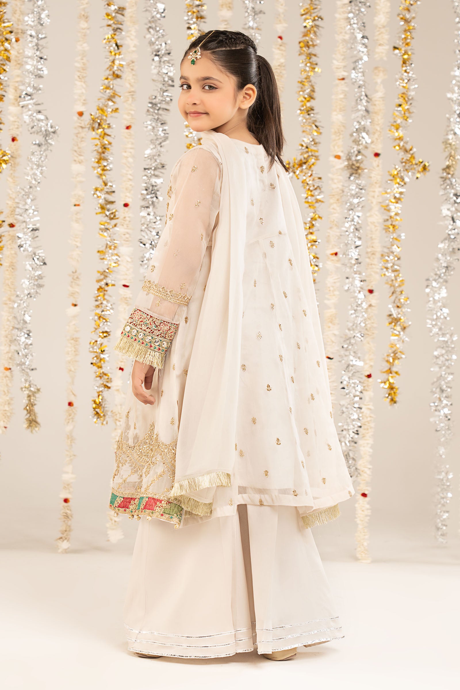 2 Piece Embroidered Organza Suit