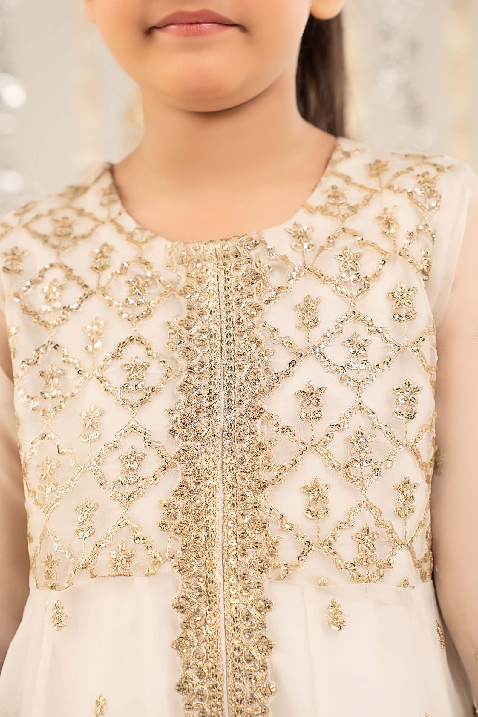 2 Piece Embroidered Organza Suit