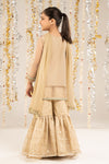 2 Piece Embroidered Organza Suit