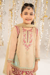 2 Piece Embroidered Organza Suit