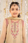 2 Piece Embroidered Organza Suit