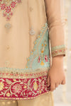 2 Piece Embroidered Organza Suit