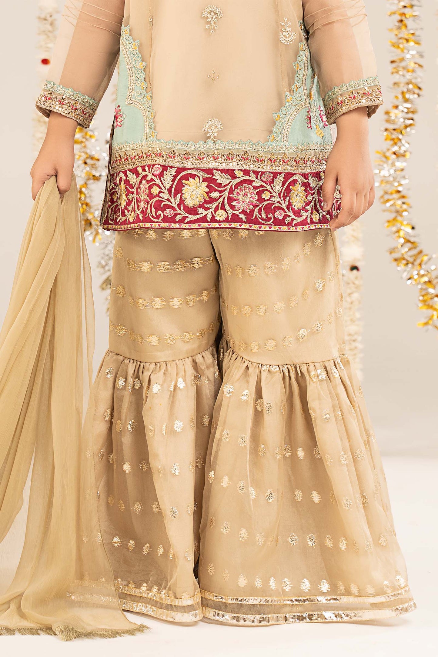 2 Piece Embroidered Organza Suit