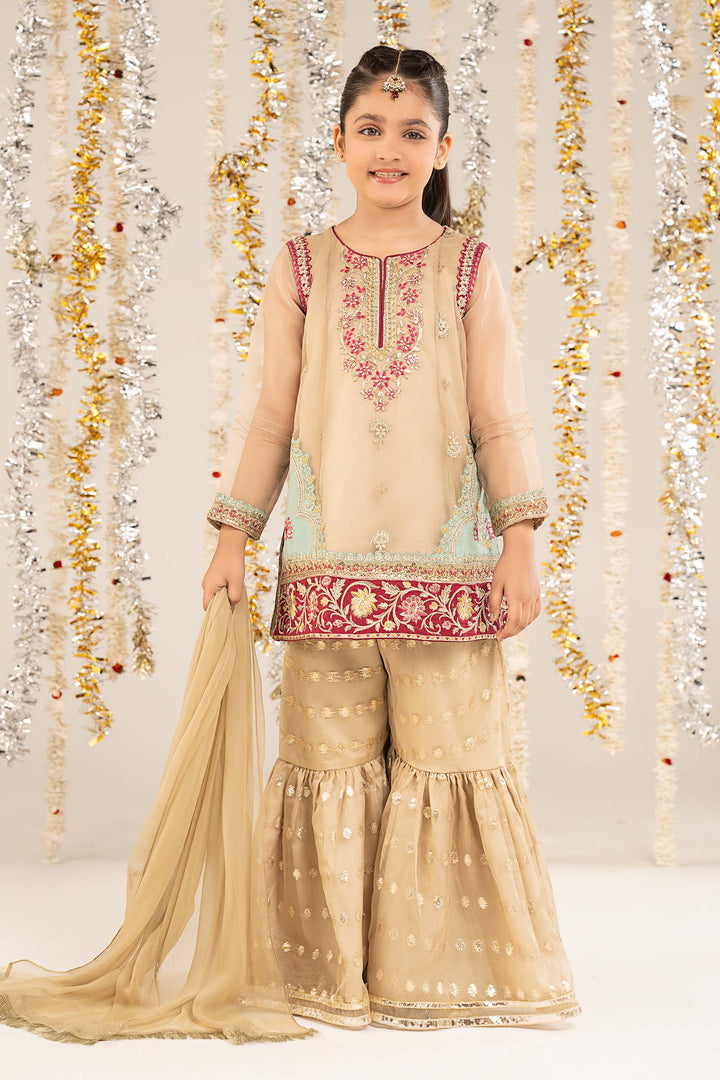 2 Piece Embroidered Organza Suit All Products MS218R1-023-BEG