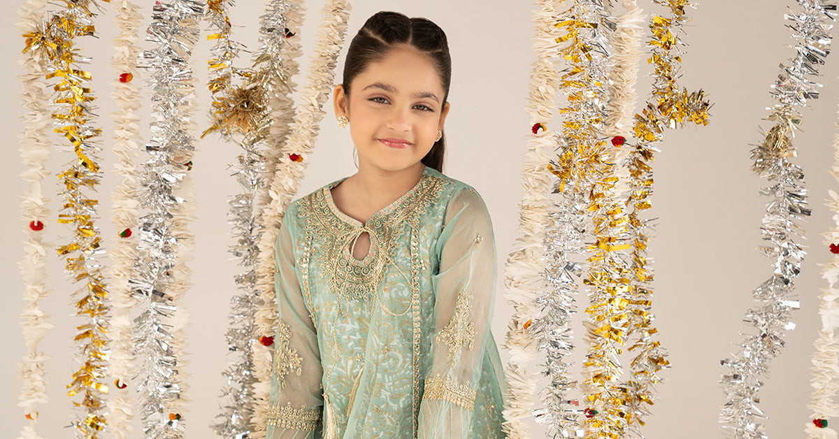 2 Piece Embroidered Organza Suit