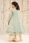 2 Piece Embroidered Organza Suit