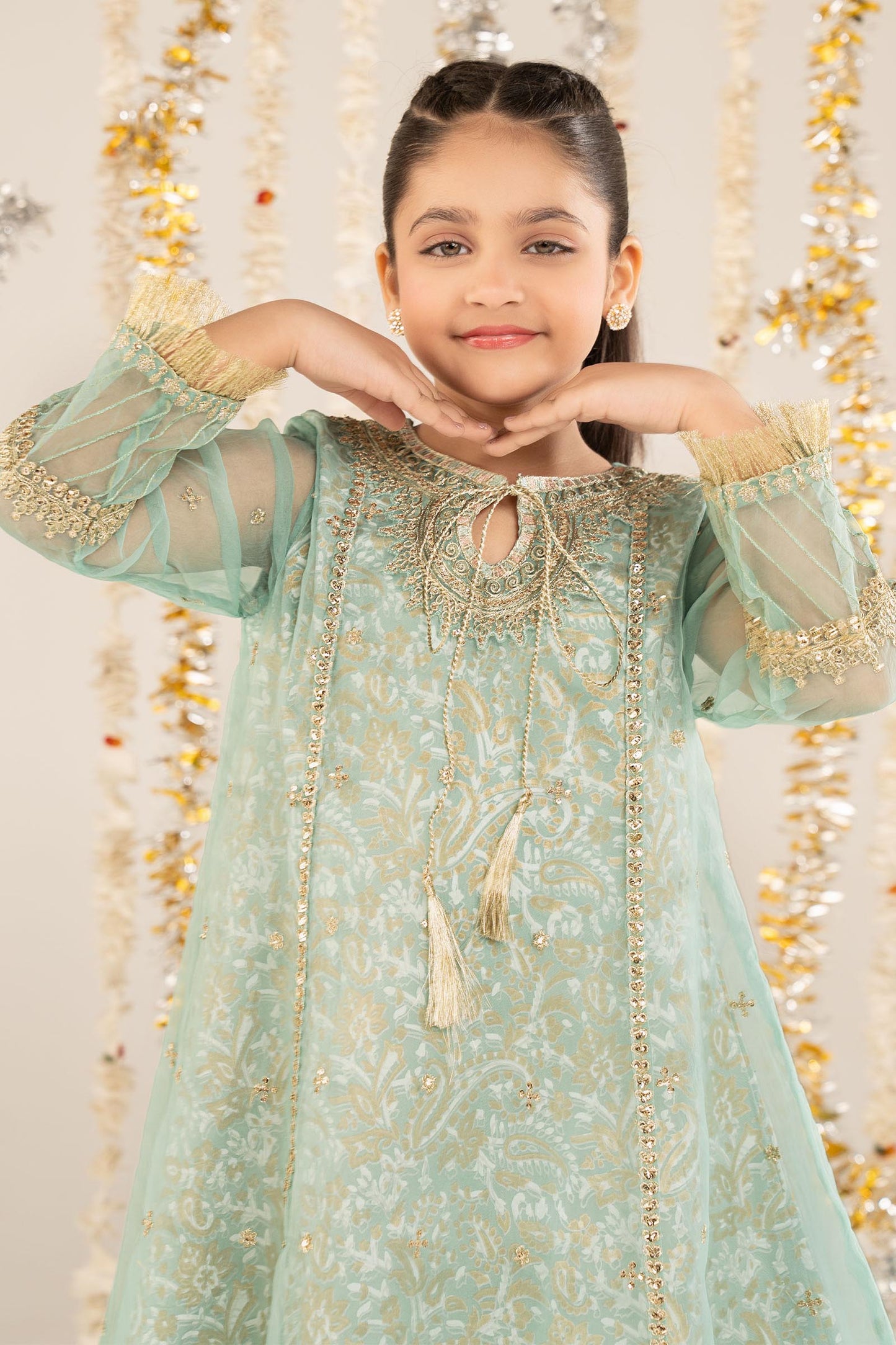 2 Piece Embroidered Organza Suit