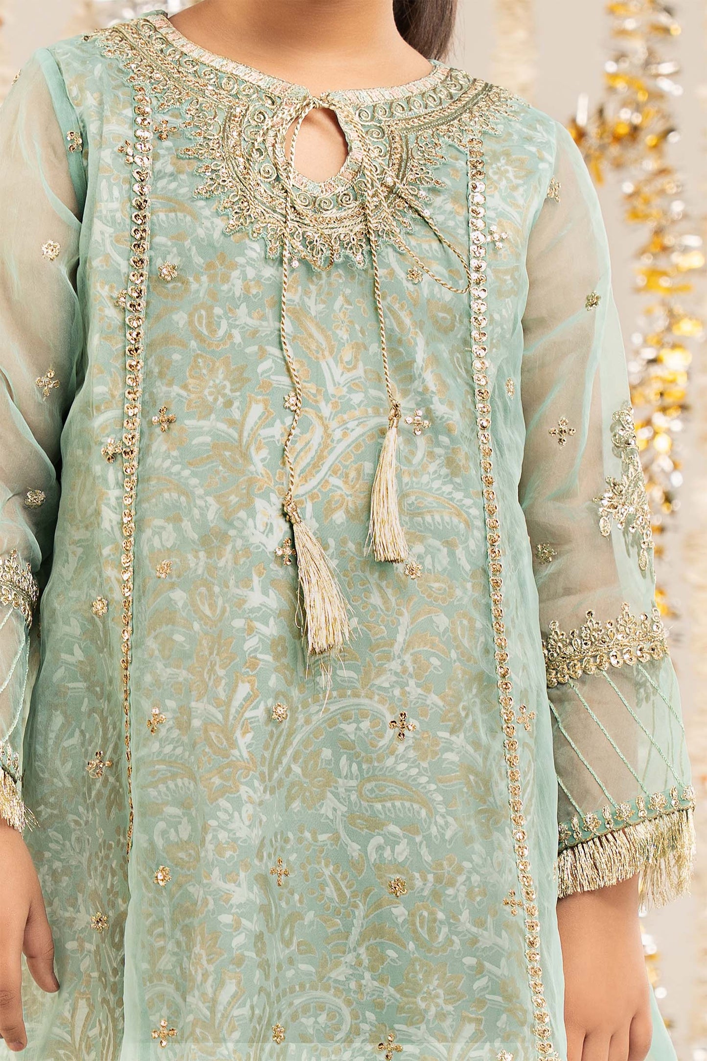 2 Piece Embroidered Organza Suit