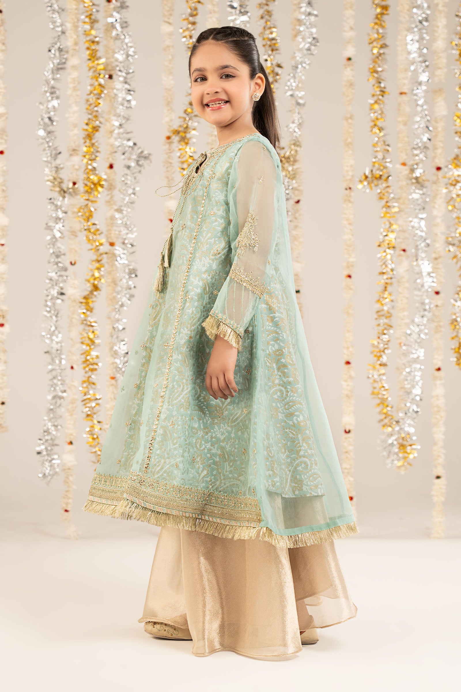 2 Piece Embroidered Organza Suit