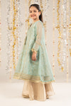 2 Piece Embroidered Organza Suit