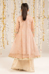 2 Piece Embroidered Organza Suit
