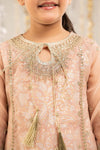 2 Piece Embroidered Organza Suit