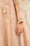 2 Piece Embroidered Organza Suit