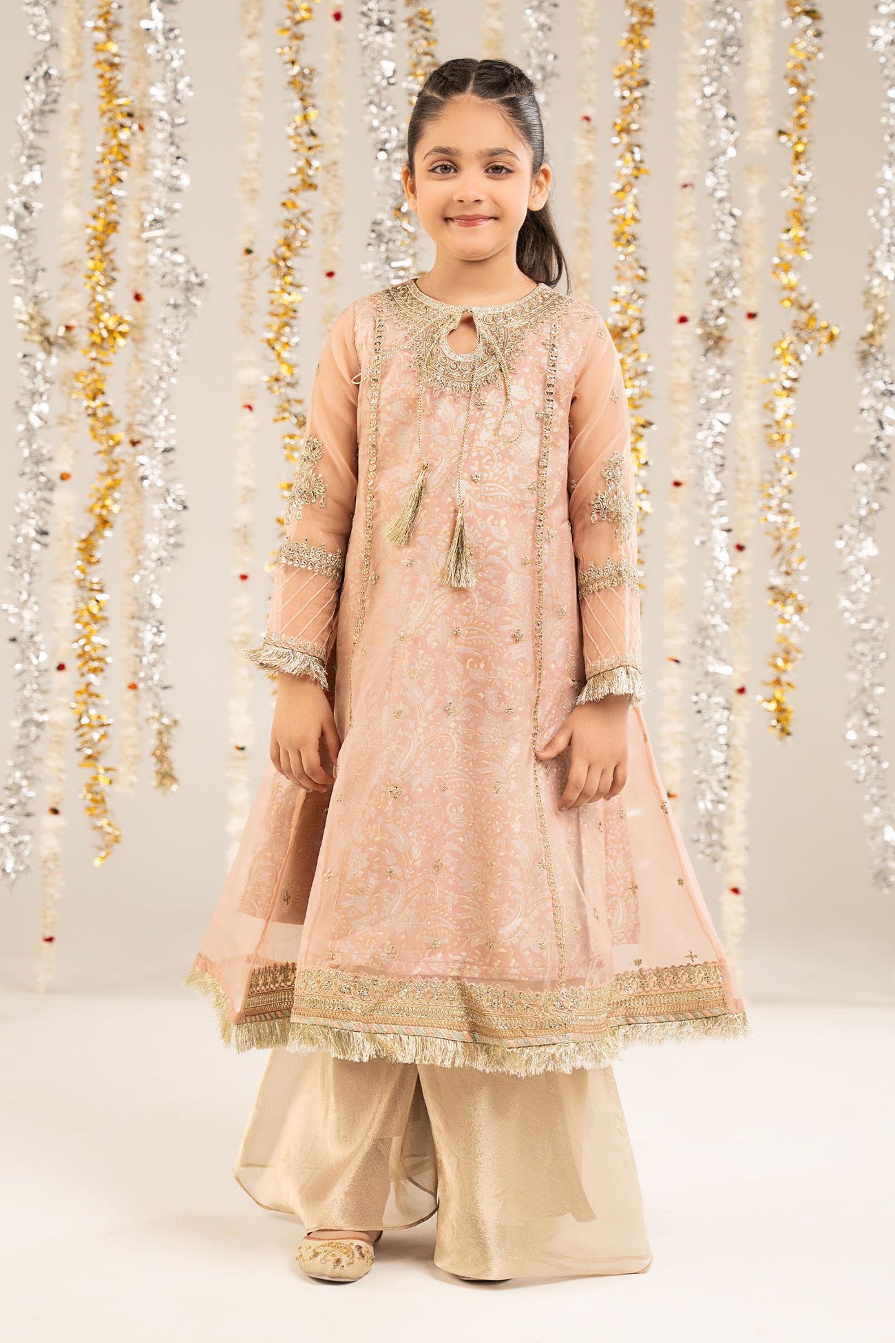 2 Piece Embroidered Organza Suit