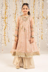 2 Piece Embroidered Organza Suit
