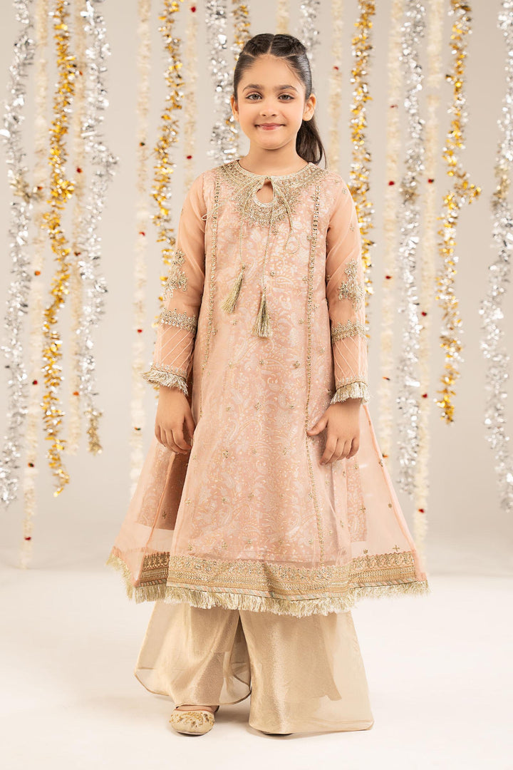 2 Piece Embroidered Organza Suit All Products MKS20R1-023-PNK