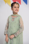 3 Piece Embroidered Organza Suit