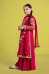 3 Piece Embroidered Organza Suit