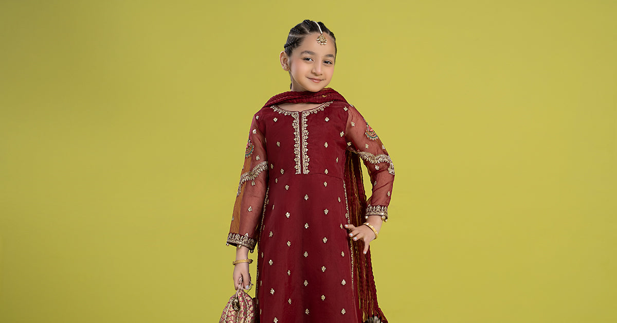 3 Piece Embroidered Organza Suit